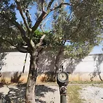 شقة Dubravko Tribanj