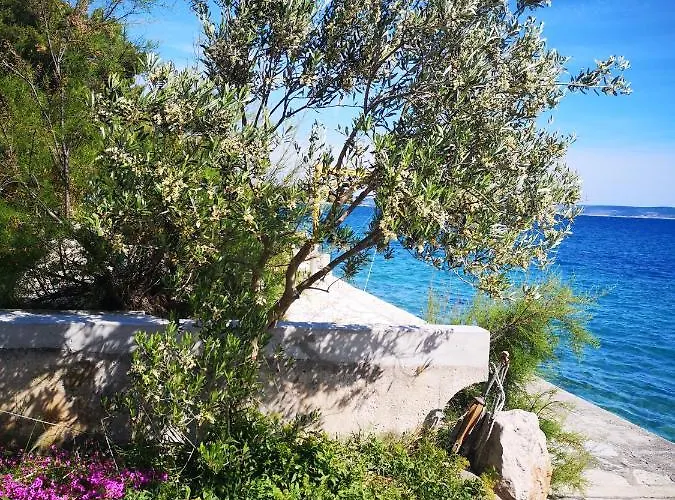 Dubravko Tribanj Apartment